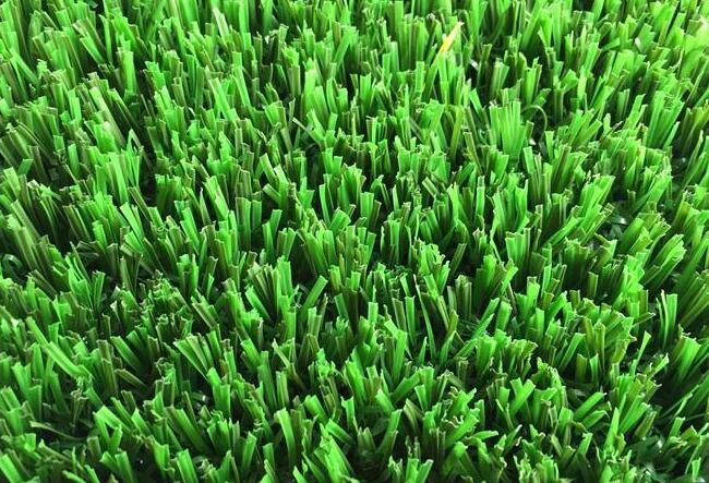 1636892430158999.jpg r3.jpg